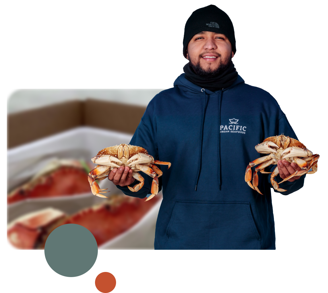 Holding live Dungeness crab